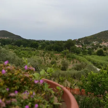 Il Brillocco