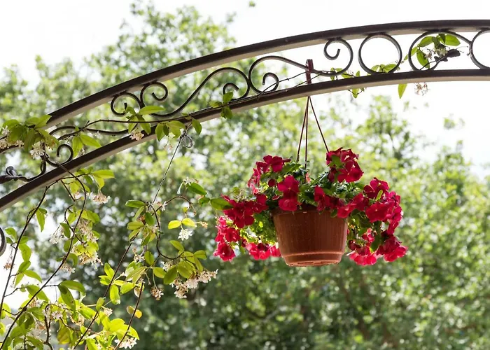 Bed and breakfast Il Brillocco