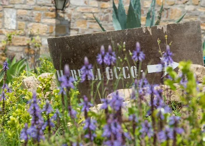 Il Brillocco Castellabate