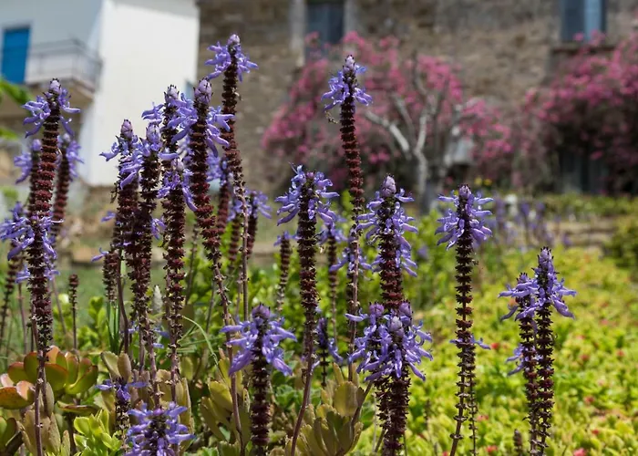 Bed and breakfast Il Brillocco