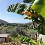 Il Brillocco Castellabate