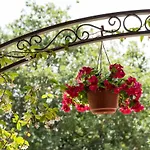 Bed and breakfast Il Brillocco