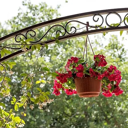Bed & Breakfast Il Brillocco