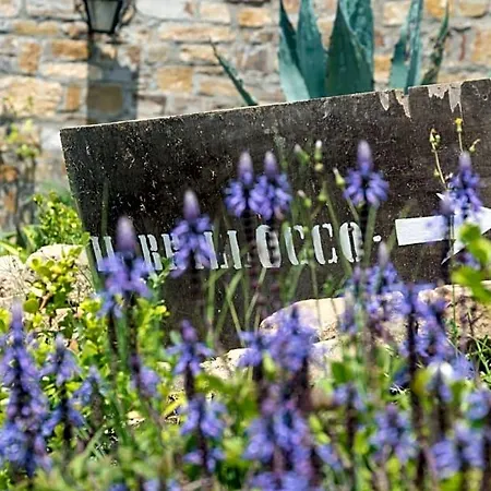 Bed & Breakfast Il Brillocco