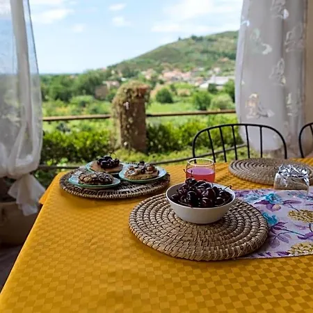 Bed & Breakfast Il Brillocco Castellabate