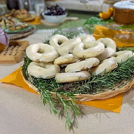 Il Brillocco Bed & Breakfast Castellabate
