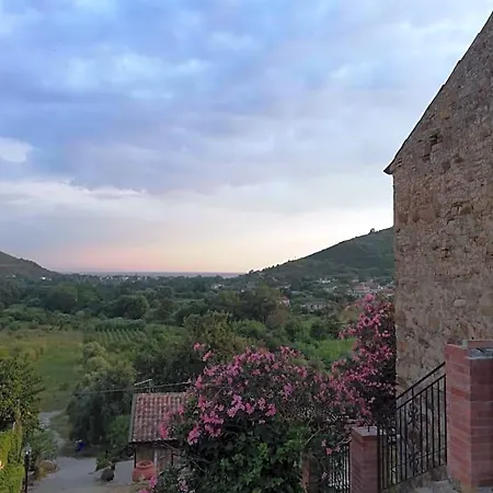 Il Brillocco