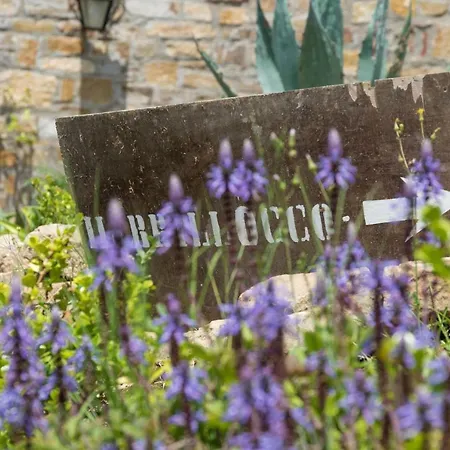 Il Brillocco Castellabate