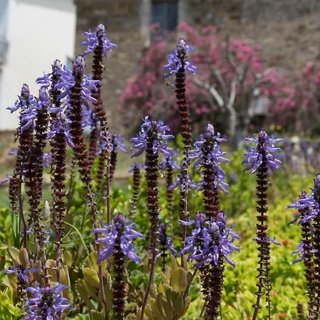 Bed & Breakfast Il Brillocco