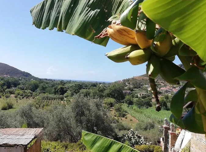 Il Brillocco Castellabate